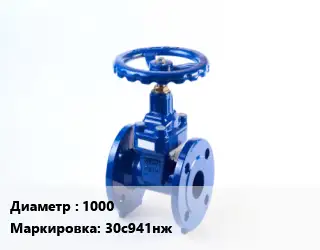 Задвижка стальная 1000 30с941нж